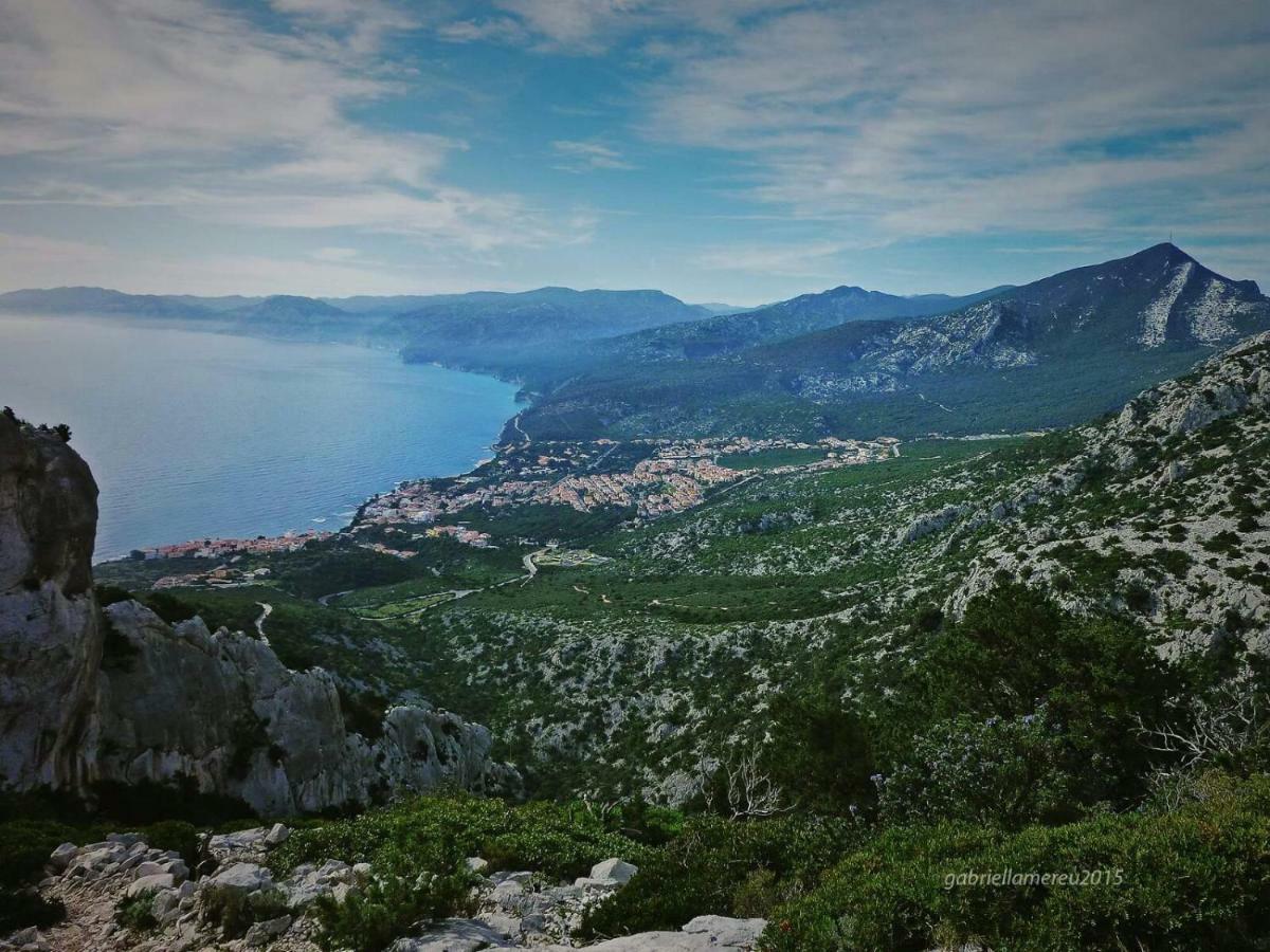 Goritto Bed & Breakfast Dorgali Dış mekan fotoğraf