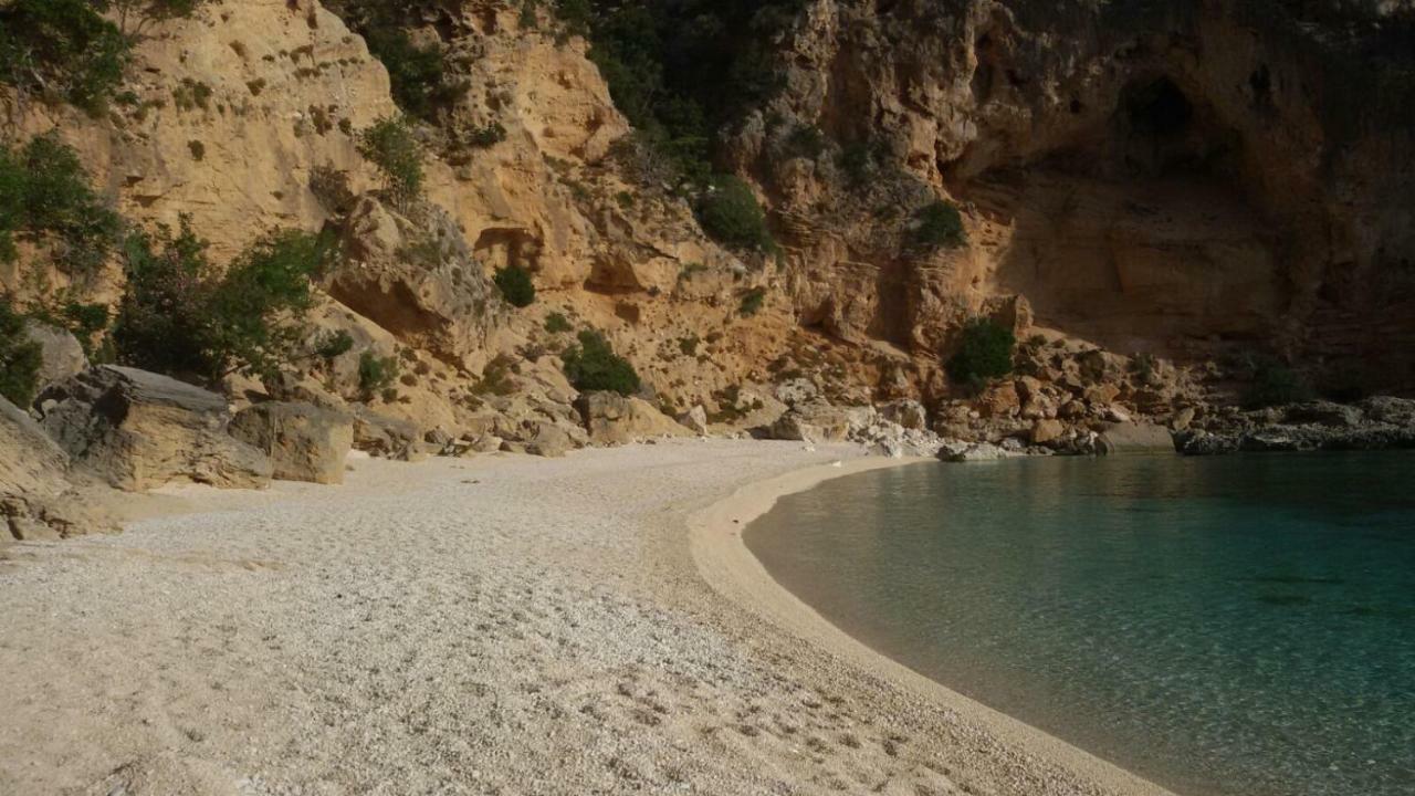 Goritto Bed & Breakfast Dorgali Dış mekan fotoğraf